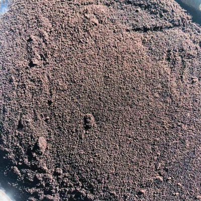 專業推薦 永多飼料級血粉與鴨血粉，高蛋白易消化原料的首選