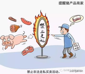 習(xí)水豬肉放心購(gòu)，飼料原料供應(yīng)穩(wěn)——解析非洲豬瘟防控下的市場(chǎng)保障